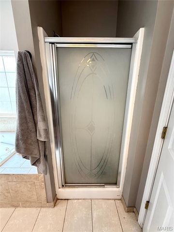 1003 Red Arrow, Sikeston, MO 63801