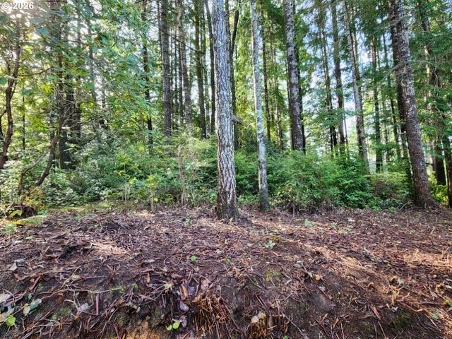 205 18TH St, Port Orford, OR 97465