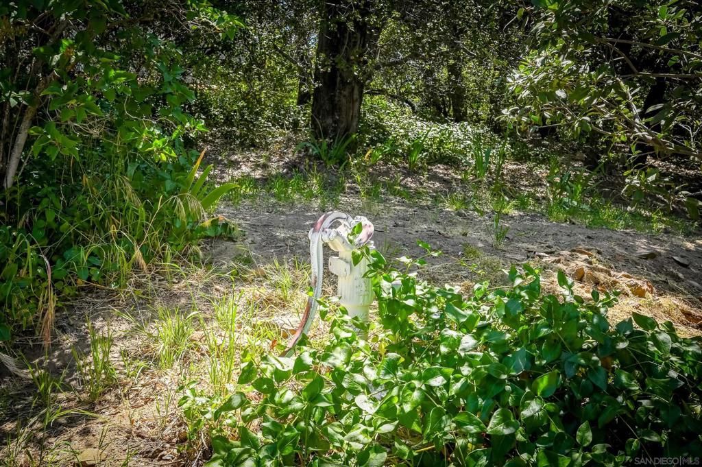 Image 24 of property listing at 2727 Lakeview Dr, Julian, CA 92036