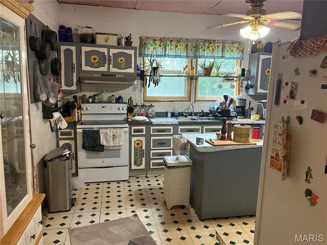 204 W North Street, Leadwood, MO 63653