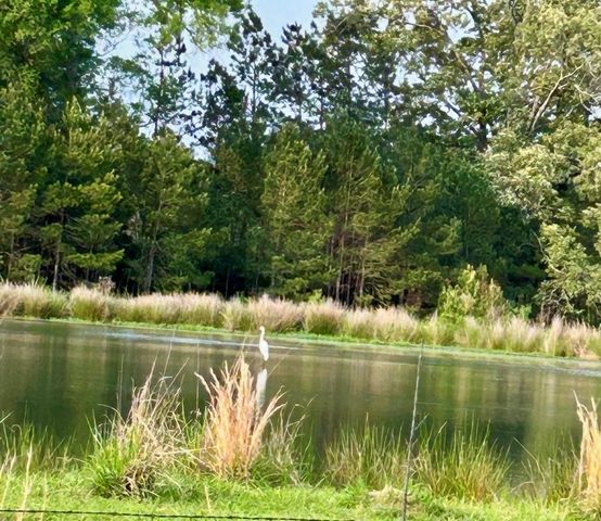 141 Walnut Loop Loop, Shepherd, TX 77371