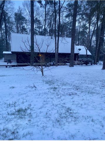 141 Walnut Loop Loop, Shepherd, TX 77371