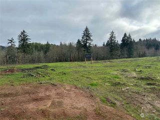 231 Ash Mountain Drive, Castle Rock, WA 98611