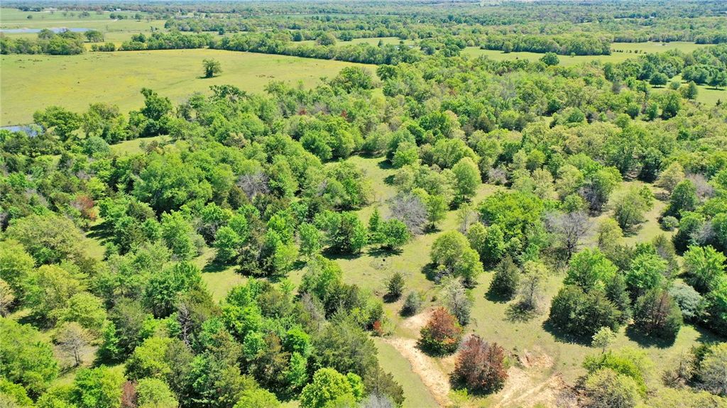 468 Deep Creek Lane, Franklin, TX 77856 — photo 3