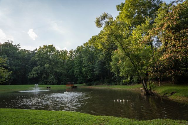 7348 Bradford Rd, Primm Springs, TN 38476