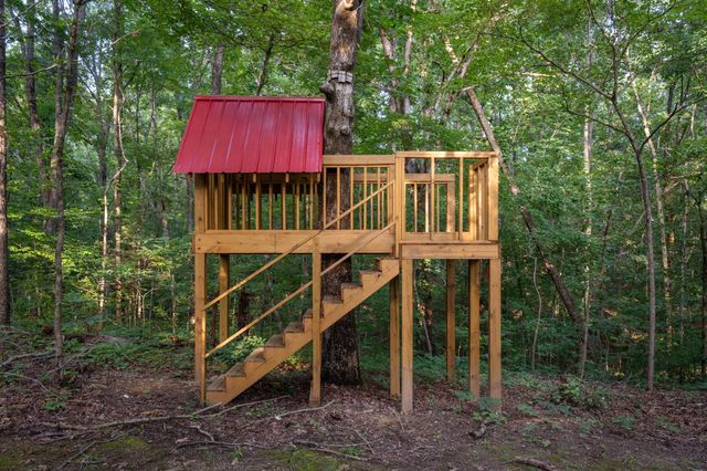 7348 Bradford Rd, Primm Springs, TN 38476