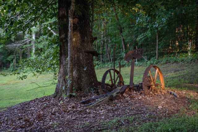 7348 Bradford Rd, Primm Springs, TN 38476
