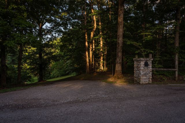 7348 Bradford Rd, Primm Springs, TN 38476