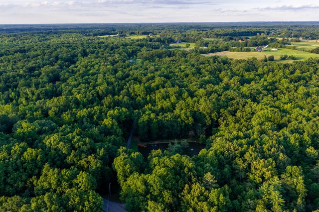 7348 Bradford Rd, Primm Springs, TN 38476
