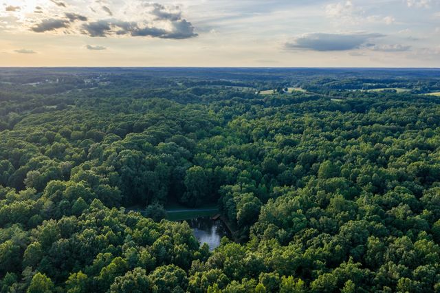 7348 Bradford Rd, Primm Springs, TN 38476