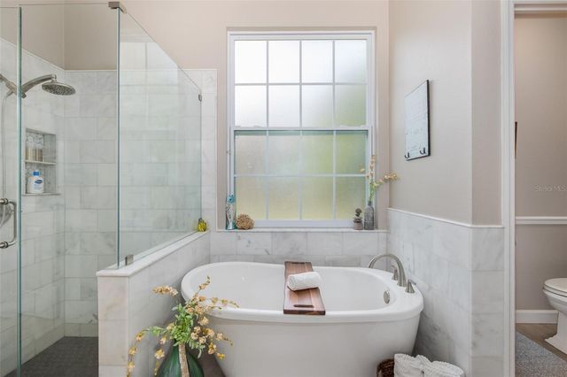 19204 PRISTINE PLACE, Lutz, FL 33558