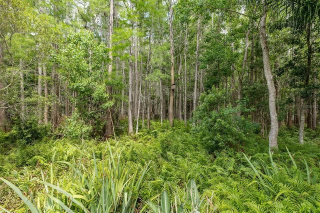 19204 PRISTINE PLACE, Lutz, FL 33558