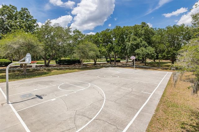 19204 PRISTINE PLACE, Lutz, FL 33558