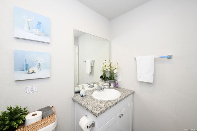 2618 Pechora Pipit, New Braunfels, TX 78130
