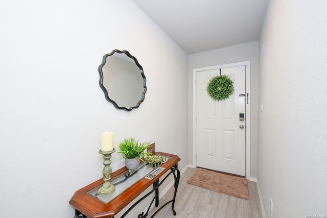 2618 Pechora Pipit, New Braunfels, TX 78130