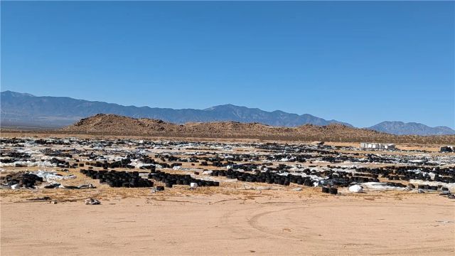 602 Mimosa, El Mirage, CA 92301