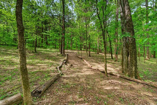 605 Natalie Ln, Spring Hill, TN 37174