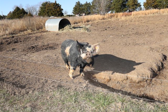 398881 W 3280 Road, Ramona, OK 74061