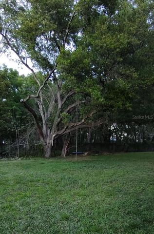 206 RONJA LANE, Valrico, FL 33594