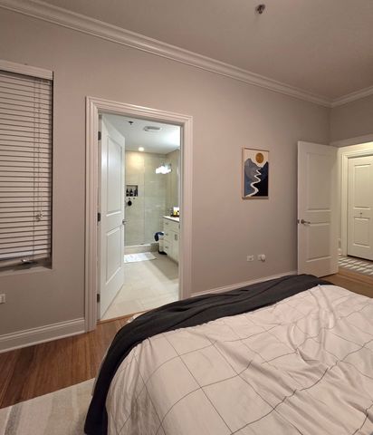 20 N Aberdeen Street 207, Chicago, IL 60607