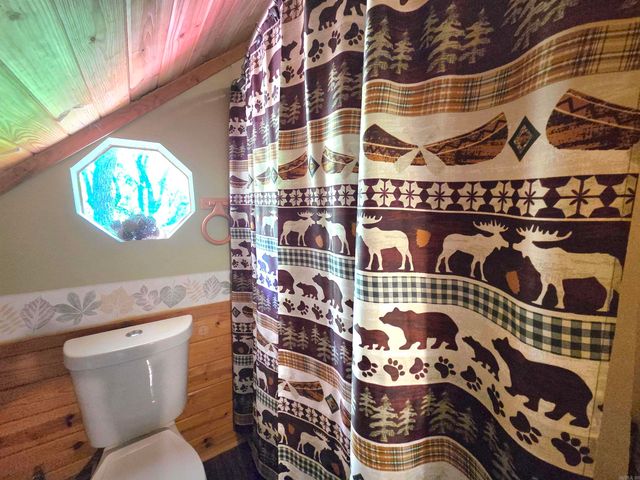 304 Black Bear Bluff, Mountain View, AR 72560