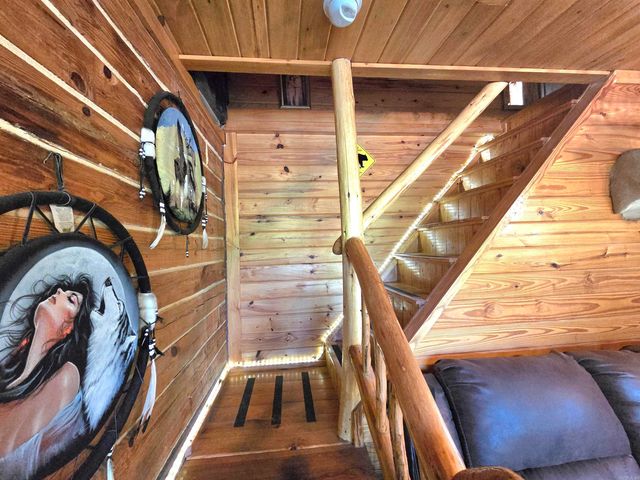 304 Black Bear Bluff, Mountain View, AR 72560