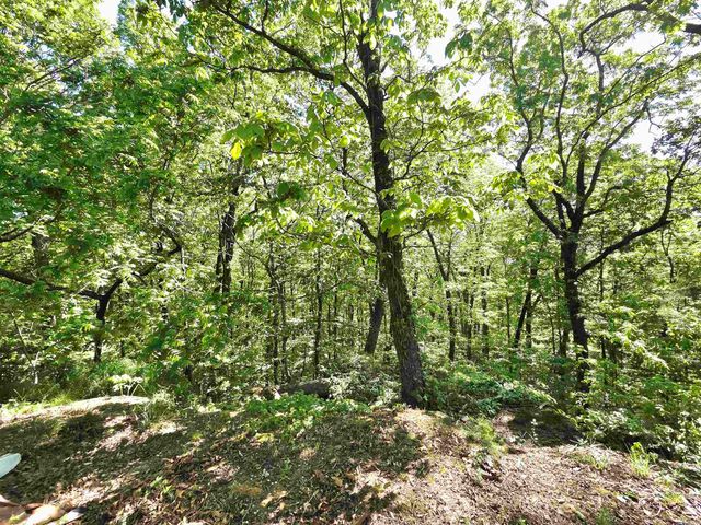 304 Black Bear Bluff, Mountain View, AR 72560