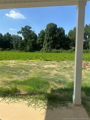 161 Margot Manor Drive, Benson, NC 27504