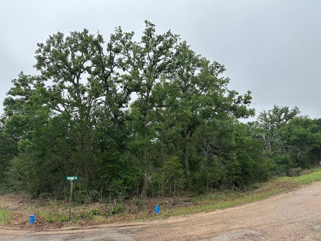 887 Big Berry Road, Somerville, TX 77879 — photo 2