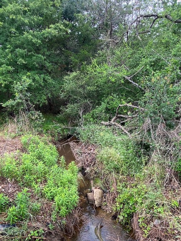 887 Big Berry Road, Somerville, TX 77879 — photo 5