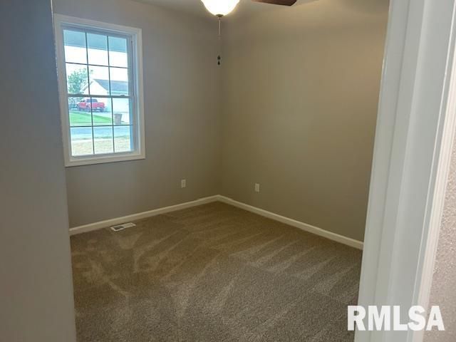 910 E Heights Avenue, Taylorville, IL 62568