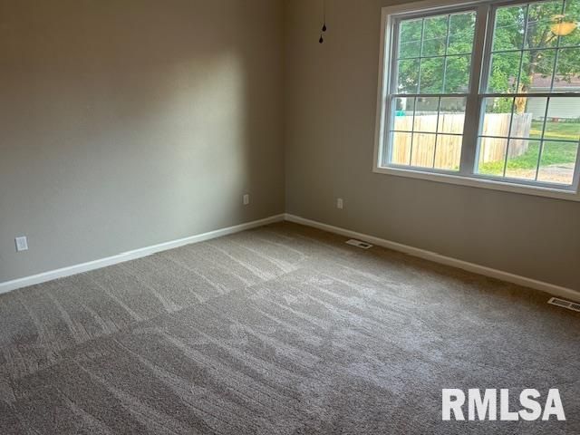 910 E Heights Avenue, Taylorville, IL 62568