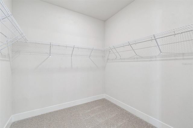 28796 JUJUBE ROAD, Wesley Chapel, FL 33543