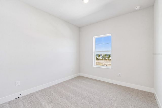 28796 JUJUBE ROAD, Wesley Chapel, FL 33543