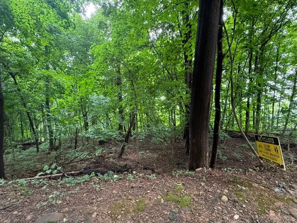 43 River Road, Nyack, NY 10960