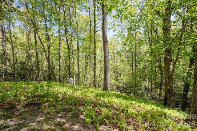 139 Panther Gap Road, Brevard, NC 28712