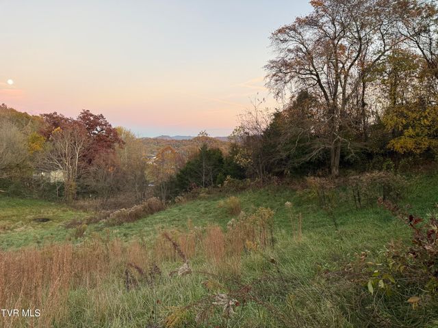 121 Clark Drive, Johnson City, TN 37601