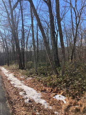 00 Hoeppner Drive, Wurtsboro, NY 12790