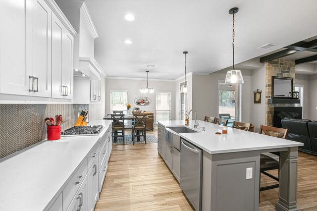113 Oaks Springs Lane, Weatherford, TX 76087