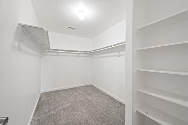 9226 Macmillan Lane, Houston, TX 77083