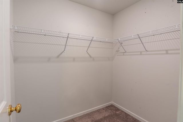 2249 Trakand Drive, Lexington, SC 29073