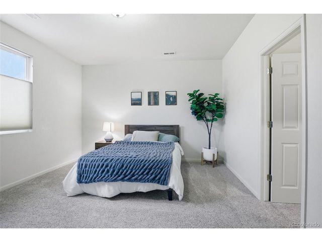 1615 Capadaro Ct, Monument, CO 80132