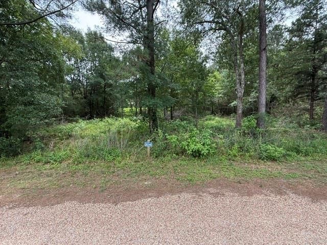 26546 Pin Oak Dr Drive, Hempstead, TX 77445