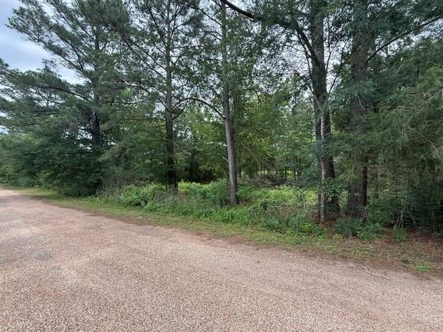 26546 Pin Oak Dr Drive, Hempstead, TX 77445