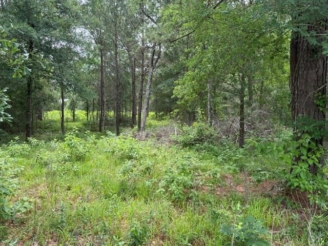 26546 Pin Oak Dr Drive, Hempstead, TX 77445