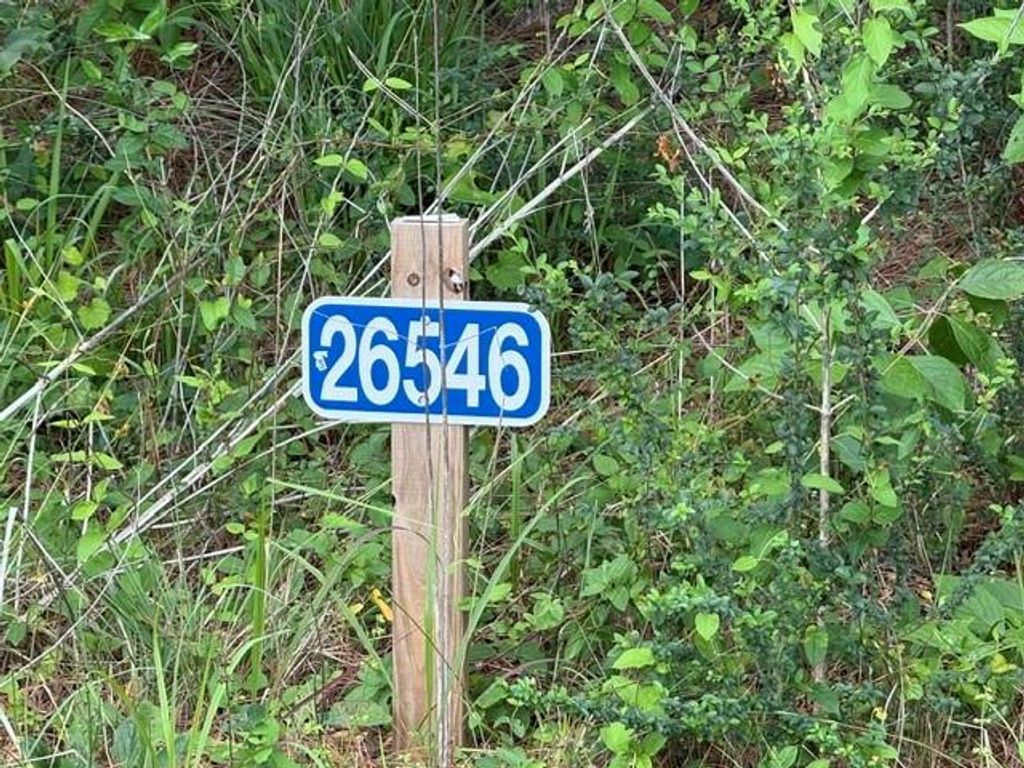 26546 Pin Oak Dr Drive, Hempstead, TX 77445