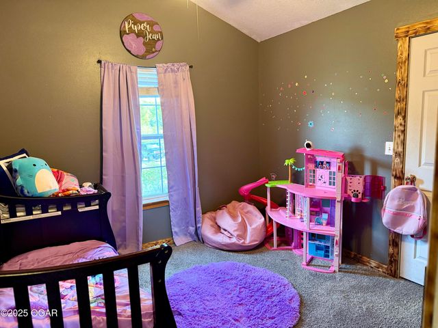 9815 County Lane 190, Carthage, MO 64836