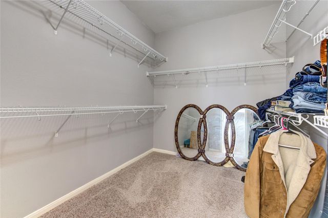 20310 Wild Plains Drive, Katy, TX 77449