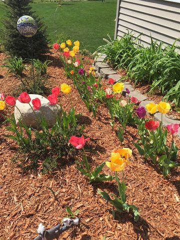 14011 NE Stacey Road, Greenville, MI 48838