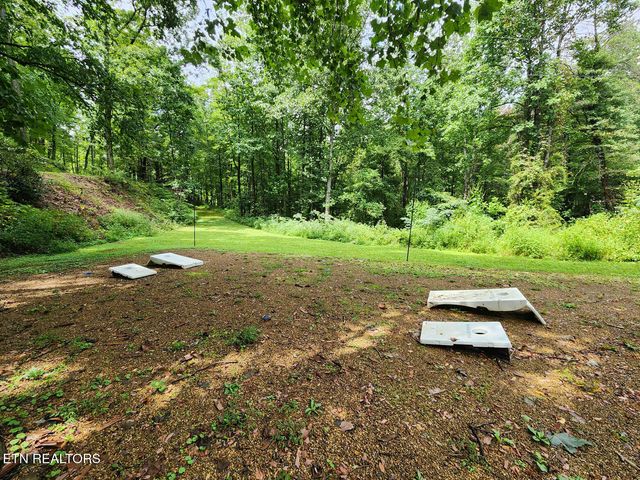 4372 Boogertown Rd 1, Sevierville, TN 37876